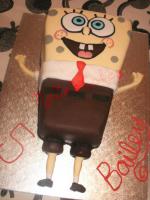 sponge_overlay.jpg