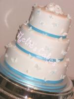 Tiffany_blue_butterfly_wedding_cake.jpg